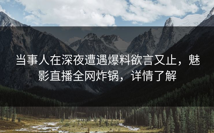 当事人在深夜遭遇爆料欲言又止，魅影直播全网炸锅，详情了解